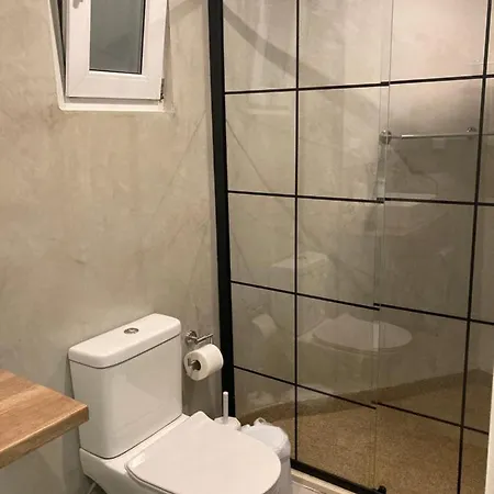 Evis House Ханья (Крит)